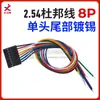 Venda Direta de Fábrica Fio Dupont Passo 2,54mm Terminal Fêmea-Fêmea de Ponta Única/Dupla Fio Eletrônico Colorido 2-10P