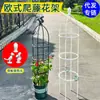 Suporte de Flores, Treliça de Escalada, Suporte para Flores de Clematis e Rosa, Suporte para Plantas de Vasos Escalarem, Suporte para Plantas de Escalada Internas