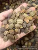 Venta al por mayor de Cuentas Semilla Columna de Dragón, Accesorios para Joyería Budista, Fuente de Semillas Bodhi de Material Antiguo, Fabricante de Accesorios de Cuentas Sueltas, Acabado similar al Jade