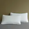 Funda Protectora para Relleno de Almohada Doméstica, Capa Protectora Aislante, Forro Interior, Funda de Almohada, Cubierta de Almohada, Anti-Sudor, Anti-Grasa de Cabeza, Funda de Almohada Acolchada al por Mayor
