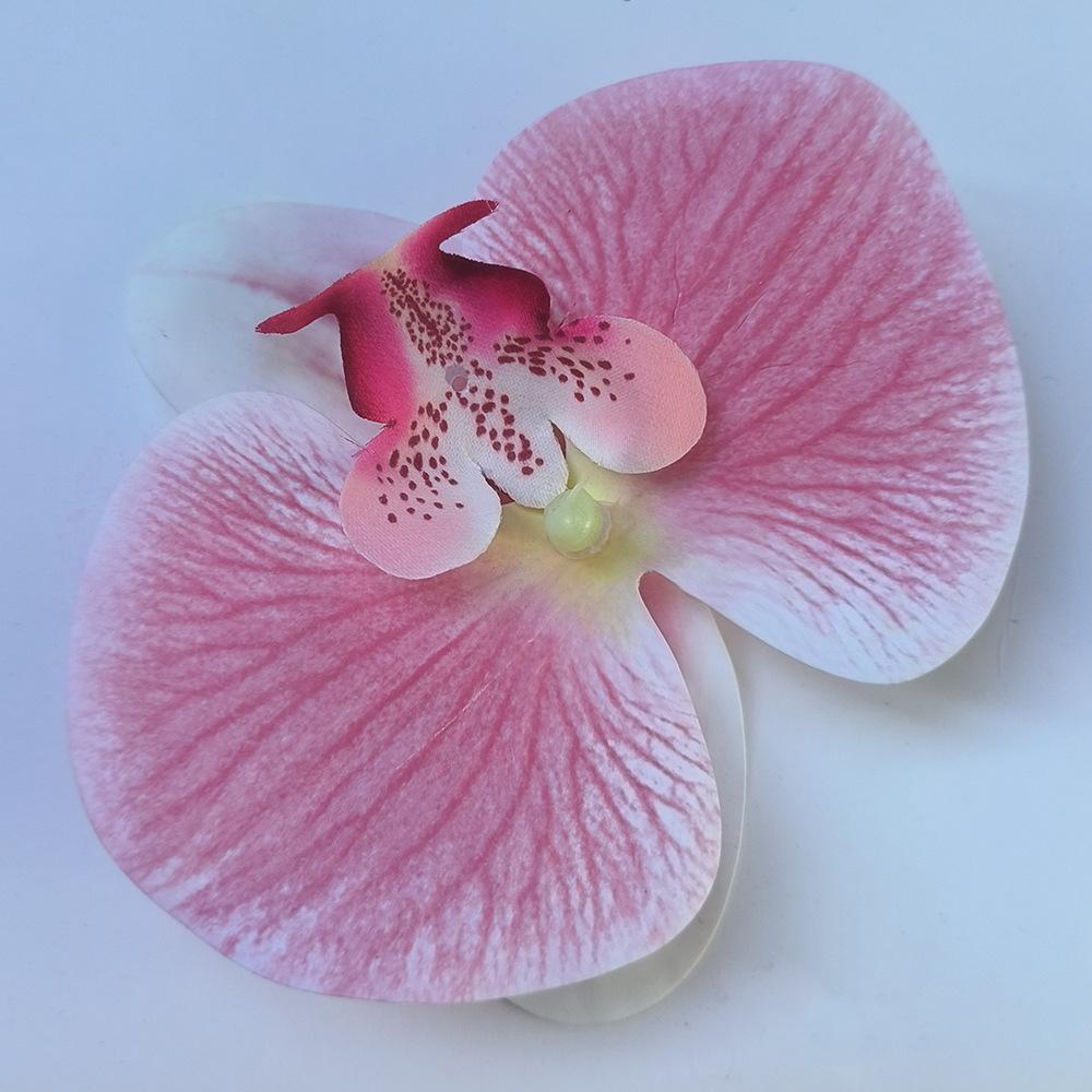 SKU图_粉色 高质量胶片 （11cm）