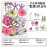 Nuevo Paquete de Materiales DIY Hecho a Mano en Relieve Maquillaje Estilismo Foto Personal Maquillaje Facial Flores Secas Especímenes de Plantas en Relieve