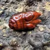Peça de Mão Esculpida em Madeira Maciça Natural de Casco de Porco, Ornamento Criativo de Casco de Porco Pega-Dinheiro, Decoração de Ano Novo para Mesa