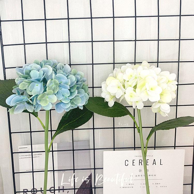 QQ图片20200609120048