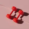 Venta al por mayor del fabricante Mancuernas de Cemento para Mujer para Yoga en Casa, Ejercicio en la Oficina, Equipamiento Deportivo y de Fitness, Mancuernas Pequeñas para Niños