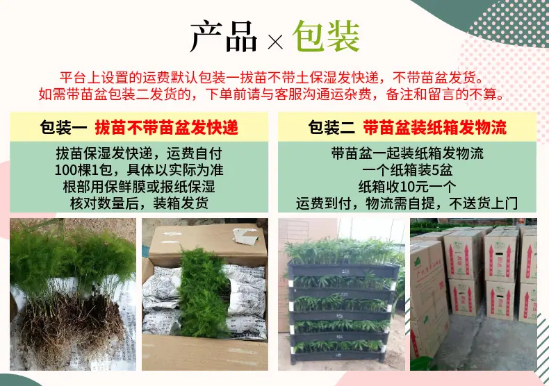 稿定设计-6.png
