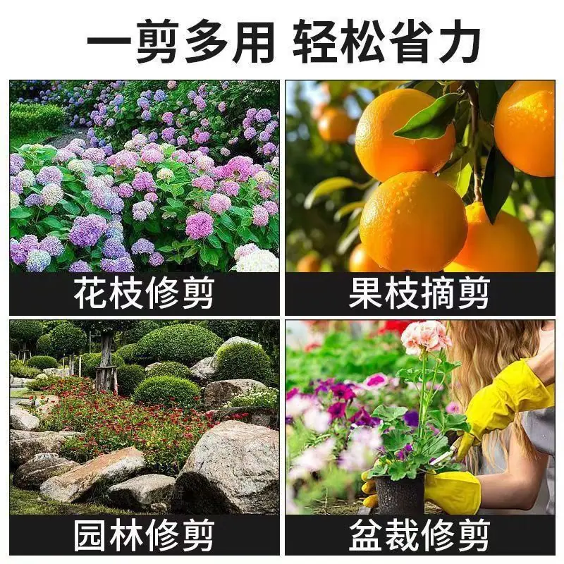 图片_20250720133655