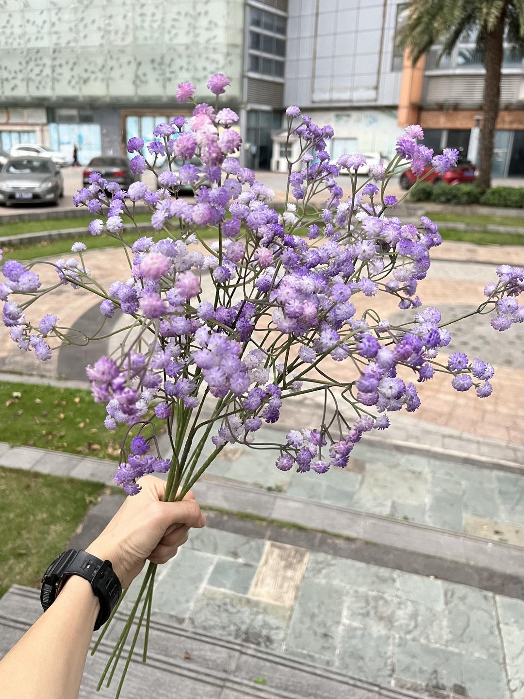 微信图片_20230412170743.jpg