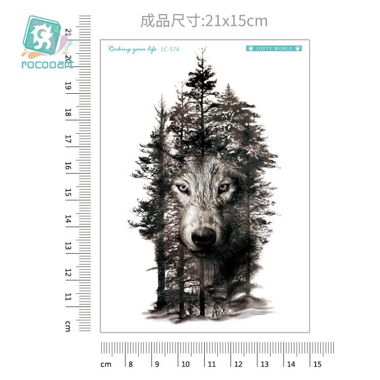 LC-574dxx_v2