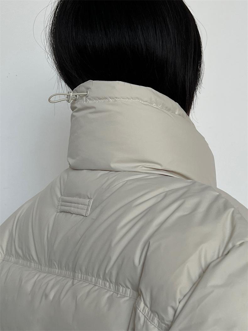 2024-11-26 181443.jpg