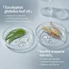 La crema para el cuidado de los dedos KORMESIC más vendida de Amazon para el cuidado y la protección de los pies, disponible para venta al por mayor transfronteriza