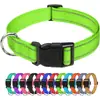 Collar Reflectante para Perros Grandes, Medianos y Pequeños, Correa para Paseo de Perros al Aire Libre, Collar para Perro Mascota para Prevenir que se Pierda