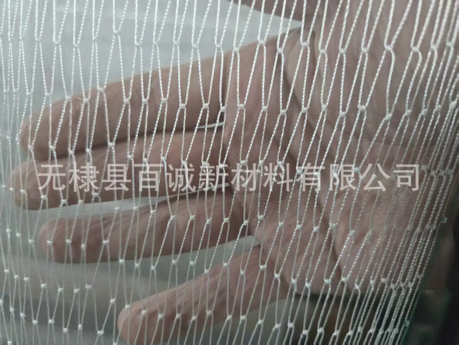 微信图片_20250403213920