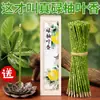 Pétalos de Incienso Natural de Hoja de Pomelo Enrollados a Mano para Uso en Interiores, Incienso Puro Estilo Chino de Larga Duración para Uso en el Hogar para Purificar el Campo Energético