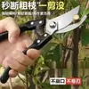 Artesanía Alemana Acero Importado Tijeras para Ramas Podaderas de Árboles Tijeras para Podar Árboles Frutales Hogar Flores y Árboles Ramas de Vid