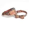 Aminger Nuevo Collar de Lazo Toalla Triangular para Perro Set de Collar para Mascota con Cuerda de Tracción