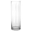 Jarrón de vidrio transparente recto para sala de estar, arreglo sencillo de bambú de la suerte, jarrón de cristal para flores, adorno decorativo para plantas hidropónicas