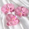 Pétalas da cabeça da flor Phalaenopsis acessórios de flor material de flor grampo de cabelo feito à mão diy decoração de adereço de cabeça material de flor