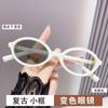 Gafas Fotocromáticas Anti Luz Azul Estilo Celebridad de Internet Montura de Gafas Nerd Moda Elegante de Gama Alta Gafas para Miopía