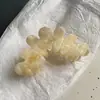 Versión Coreana Clip de Garra Exquisito de Alta Calidad Estilo Pinzas Petalo Pinza de Garra Grande Pinza de Garra de Acetato Engrosada para el Cabello de la Parte Posterior de la Cabeza de las Mujeres