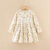 Vestido Infantil Novo Estilo para Primavera e Outono, Vestido Princesa Infantil de Desenho Animado, Vestido Infantil de Manga Longa 100% Algodão, Transfronteiriço 2025