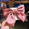 Coreano ins Big Bow Hairpin Headwear Cyber Celebrity Girl's Hairpin Spring Clip Hair Ring Women's Top Clip Acessórios para o Cabelo