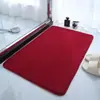 Tapete de chão de flanela de coral Amazon transfronteiriço, cor sólida, doméstico, antiderrapante, absorvente para banheiro, capacho, tapete de entrada