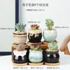 Dongheng Maceta de Animales Estilo Japonés y Coreano Maceta Mini Pulgar Adornos Set de Búho Cambio de Horno Maceta para Suculentas con Base