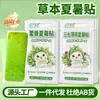 Adesivo Refrescante de Verão de Patchouli, Adesivo Refrescante de Hortelã e Panax Notoginseng, Adesivo Refrescante Físico Leve para Alívio do Calor