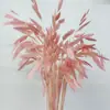 Pensamientos Pequeños Blanqueados, Flores Eternas, Flores Secas, Materiales de Flores para Manualidades, Flores Preservadas, Ramos, Flores Reales, Decoración del Hogar, Flores Hechas a Mano