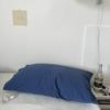 Ins algodón de una pieza forro de núcleo de almohada de una pieza almohada cuero cabelludo 48*74 funda de almohada hogar algodón puro funda de almohada cambiante