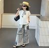 Traje de Verano para Niñas 2025 Nuevo Pantalón de Pierna Ancha Antimosquitos Estilo Preppy Manga Corta t Niños Grandes Niñas Conjunto Casual de Dos Piezas
