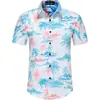 Camisa de Verano para Hombre de Manga Corta con Estampado 3D Estilo Hawaiano de Playa Casual con Cuello