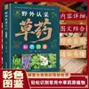 Identificación de Campo de Hierbas Medicinales con Ilustraciones Coloridas, Identificación Fácil de Hierbas Medicinales Chinas de Uso Común, Plantas Originales, Libro de Salud de Medicina Tradicional China
