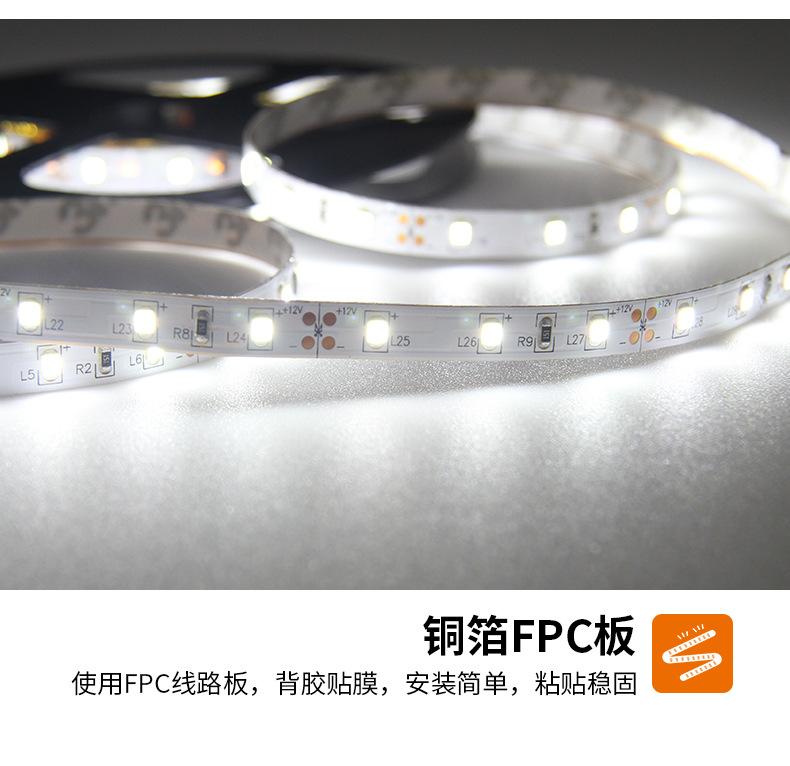 白光12V_14.jpg