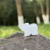 Piedra de Ágata de Cristal Natural Talla Mini Elefante Animal Fuente Viva Mineral de Amoy Transfronterizo Divulgación Científica Infantil