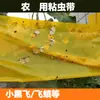 Cinta Amarilla Doble Cara Pegajosa para Insectos, Tablero Pegajoso para Insectos, Cinta para Prevención de Insectos en Árboles, Cinta para Jardín de Té, Huerto, Invernadero, Jardín