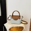 Bolso de mano pequeño para mujer transfronterizo 2026 verano nuevo estilo coreano popular versátil bolso de hombro bandolera bolso tipo dumpling