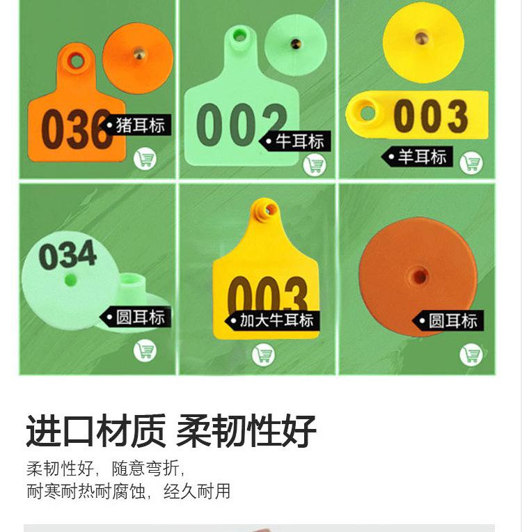耳标_08.jpg