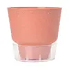 Efecto Spray Cemento Imitación Plástico Hidropónico Transparente Auto-Riego Maceta de Plástico Perezosa para Plantas Verdes como Potos y Clivia