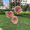TeHui3 cabeça austin flor artificial decoração de casa de casamento flor falsa atacado