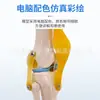 Simulación de Enseñanza Esqueleto Humano de Articulaciones Codo Muñeca Tobillo Hueso Hombro Rodilla Cadera Ligamento Ortopédico Modelo Médico