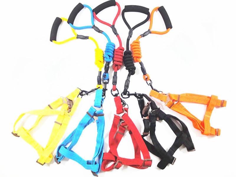 DSC00034_副本_副本