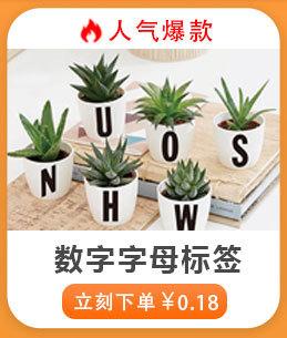 更多爆款6_05.jpg