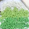 Accesorios de Joyería DIY de Hoja de Aleación Pintada para Hacer Pendientes, Collares, Pulseras y Colgantes