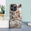Aplicable a Funda de Vidrio Templado para Apple 18PRO 17PROMAX Cubierta Protectora iPhone16 Viendo el Teléfono Gatito 17E