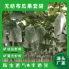 Venta al por mayor del fabricante Bolsas de Tela No Tejida para Uvas y Frutas Cítricas, Bolsas Anti-Pájaros e Insectos, Bolsas Transpirables para Protección de Frutas, Bolsas Especiales para Proteger Peras