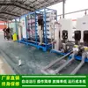 Equipo de Tratamiento de Agua por Ósmosis Inversa de Dos Etapas Industrial RO Ósmosis Inversa Secundaria Máquina de Agua Pura 25 Toneladas/Hora Suministro Verde Saludable