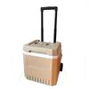 Venta al por mayor 18LPU con ruedas incubadora coche caja conservadora barra de tiro congelador para llevar al aire libre cubo de hielo de plástico