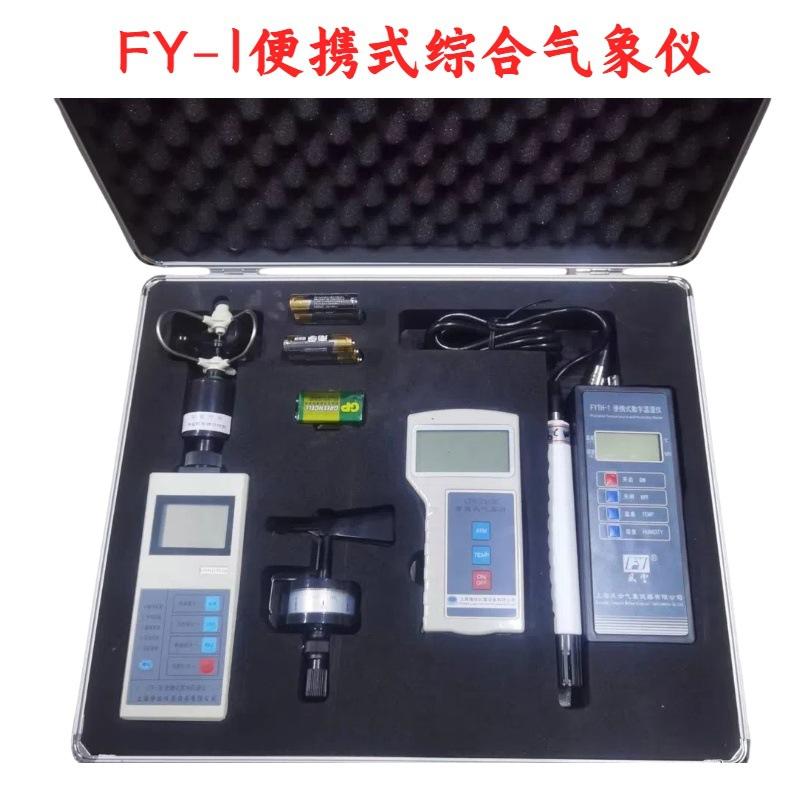 FY-1